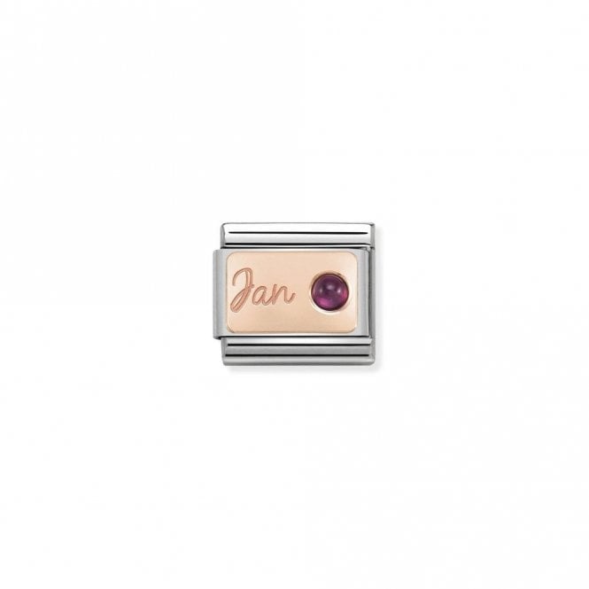 Classic Rose Gold January Garnet Birthday & Birthstones Charms