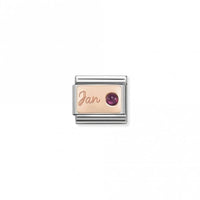 Classic Rose Gold January Garnet Birthday & Birthstones Charms