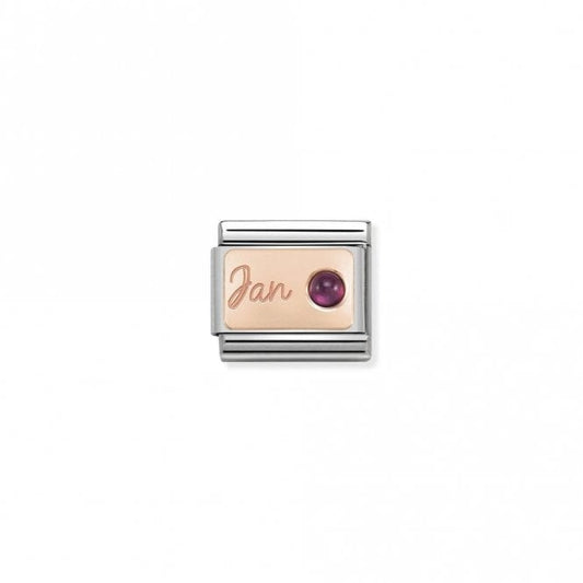 Classic Rose Gold January Garnet Birthday & Birthstones Charms