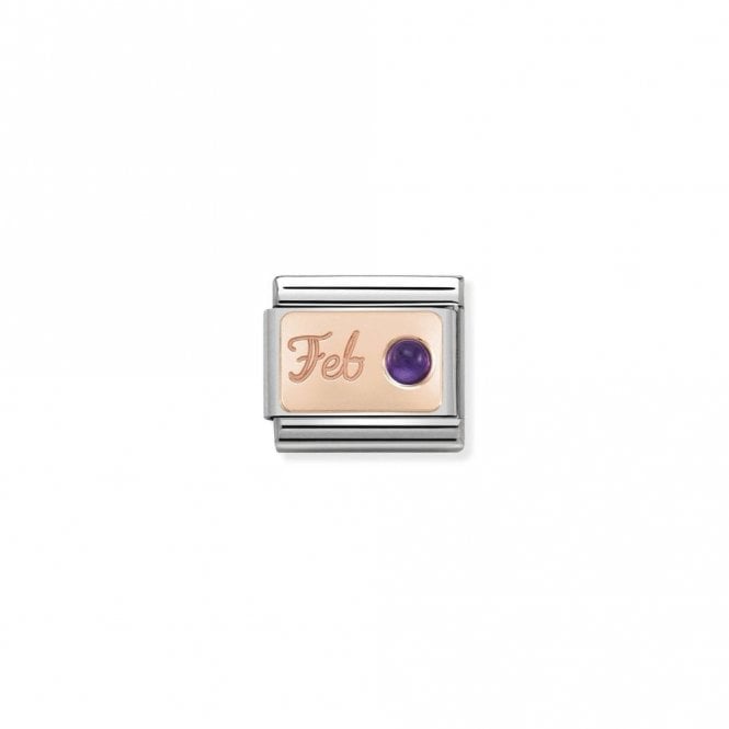 Classic Rose Gold February Amethyst Birthday & Birthstones Charms