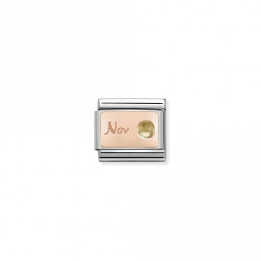 Classic Rose Gold November Citrine Birthday & Birthstones Charms