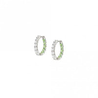 Chic & Charm Joyful Silver White & Green CZ Earrings