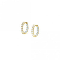 Chic & Charm Joyful Gold Light Blue & Pink CZ Earrings