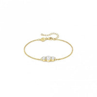 Colour Wave Bracelet in Gold and Round CZ