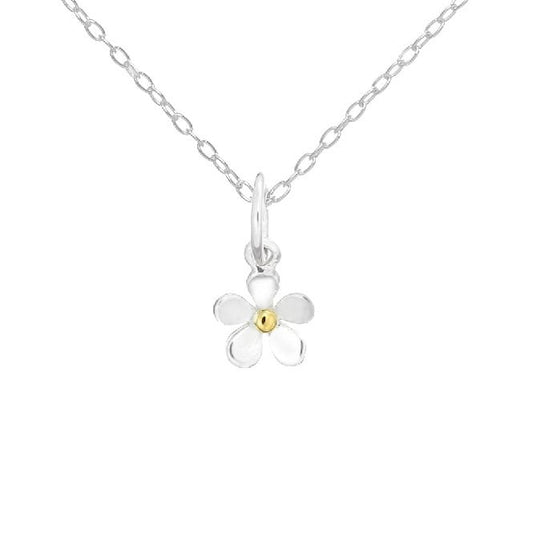 Thank You Daisy Necklace in Sterling Silver
