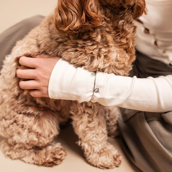 Paw Prints Silver Heart Affinity Bracelet