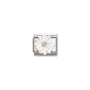 Classic Silver CZ White Resin Flower Flowers & Nature Charms