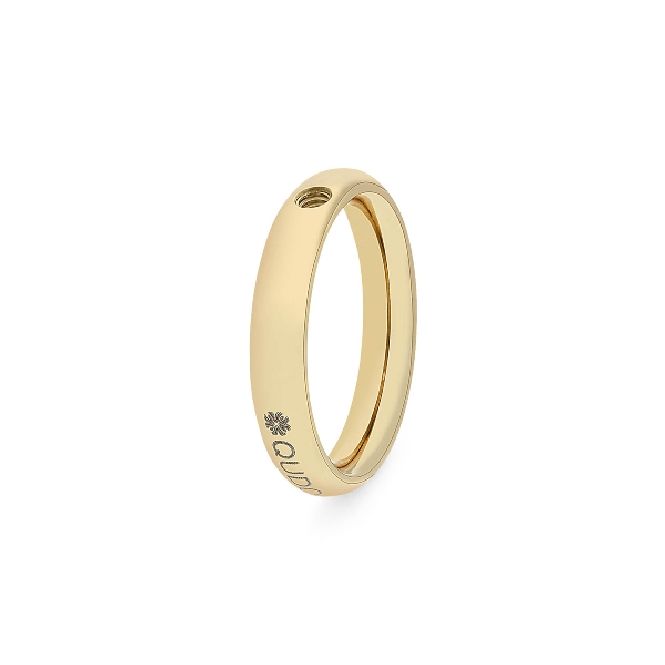 Qudo Slim Gold Interchangeable Ring, Size 62