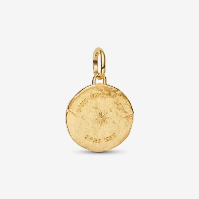 ME Gold Swallow Medallion Charms