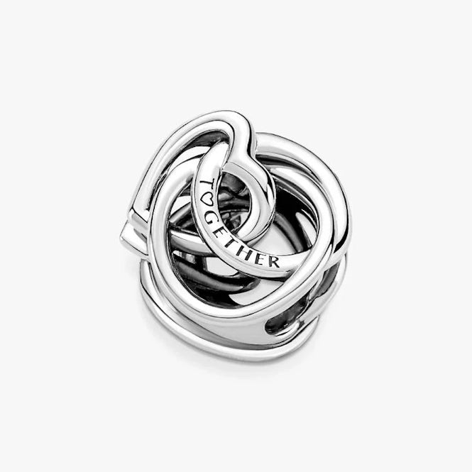 Pandora Family Always Encircled Heart Charms