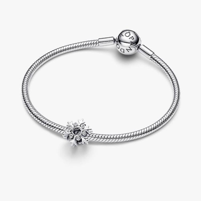 Pandora Snowflake Charms