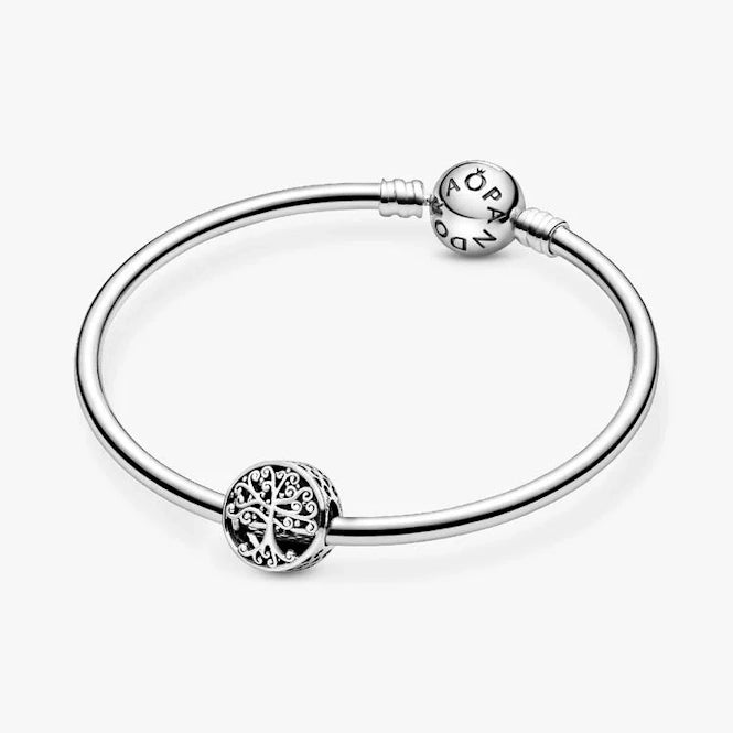 Pandora Openwork Family Roots Charms