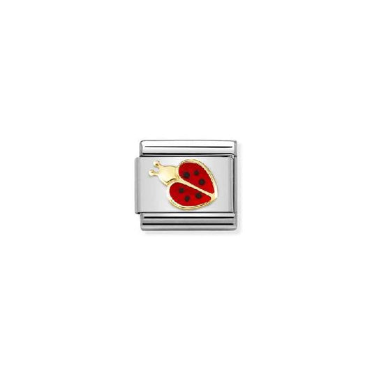 Classic Gold New Red and Black Ladybird Animals Charms