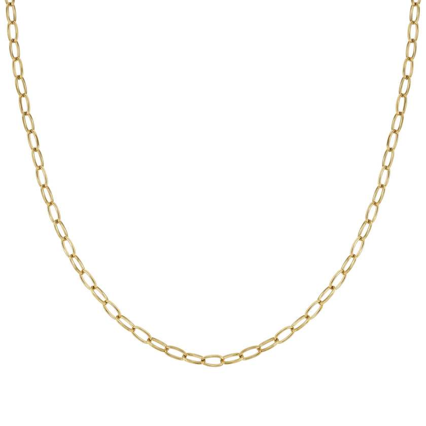 Ecclettica Long Link Necklace in Gold