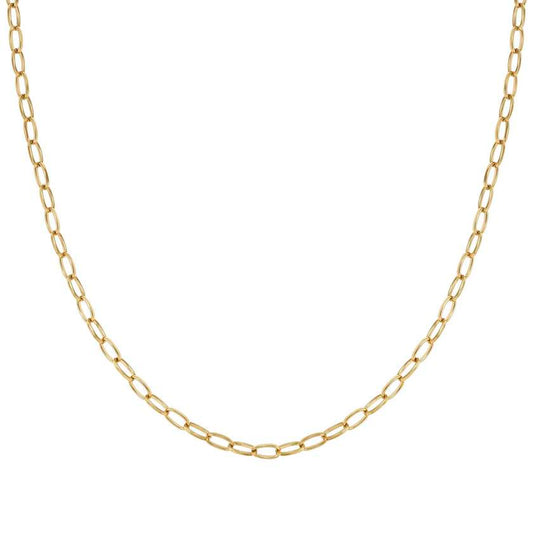 Ecclettica Long Link Necklace in Gold