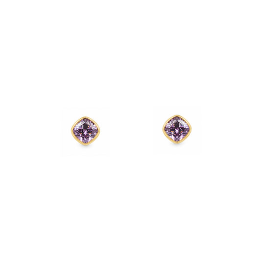 Gold Plated and Amethyst CZ February Birthstone Stud Earrings