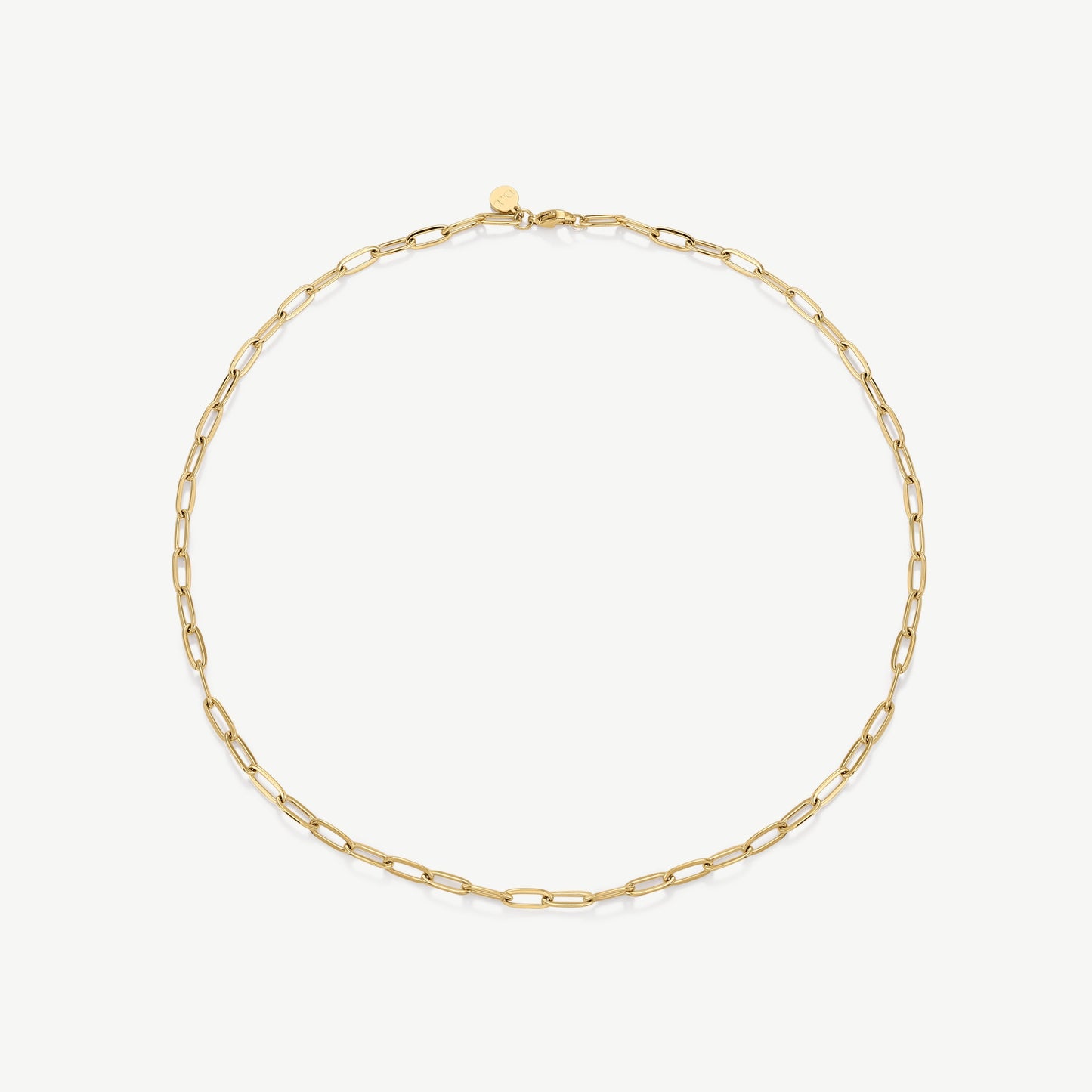 D.Louise Gold Paperclip Necklace