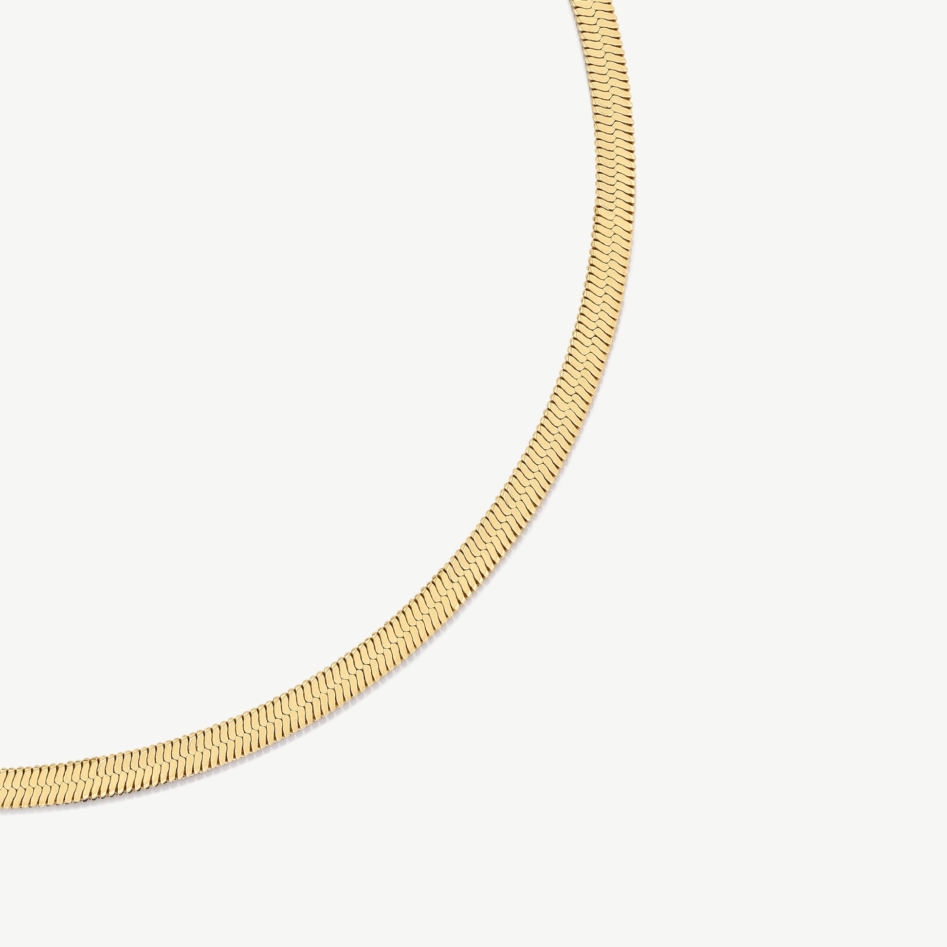 D.Louise Gold Essentials Snake Chain Necklace
